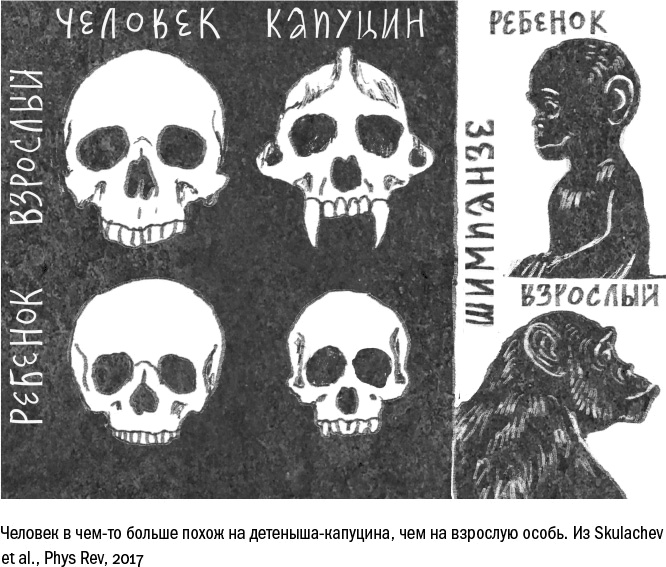 Против часовой стрелки Против часовой стрелки
