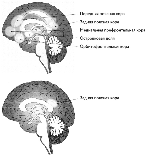 Тело помнит все Тело помнит все