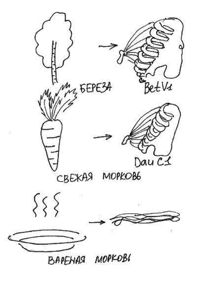 Аллергия и как с ней жить. Руководство для всей семьи Аллергия и как с ней жить. Руководство для всей семьи