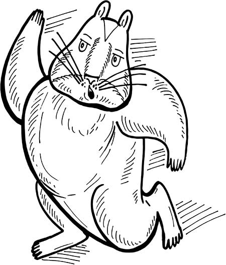 В поисках волшебной таблетки. Научно-популярная сказка