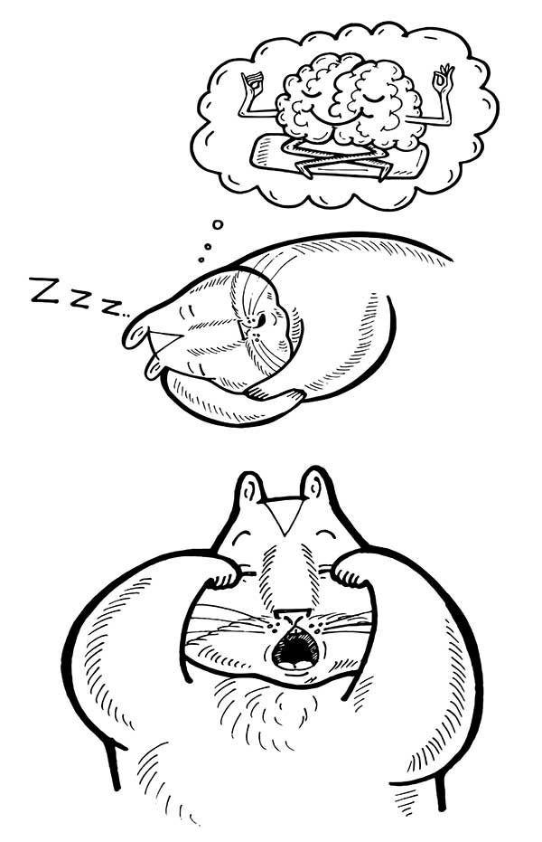 В поисках волшебной таблетки. Научно-популярная сказка