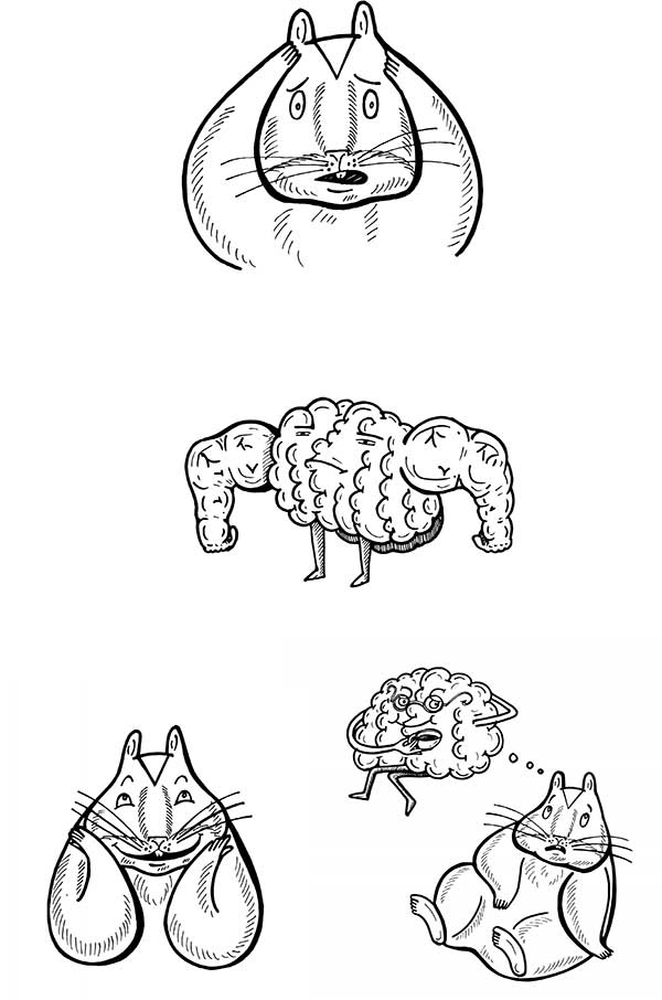 В поисках волшебной таблетки. Научно-популярная сказка