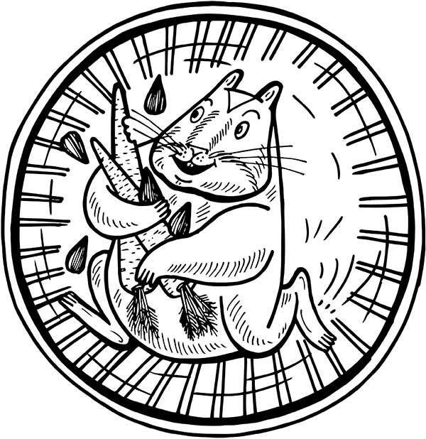 В поисках волшебной таблетки. Научно-популярная сказка