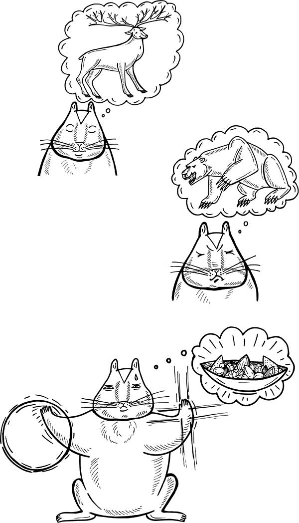 В поисках волшебной таблетки. Научно-популярная сказка