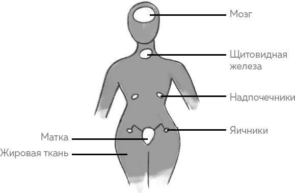 Ab Ovo. Путеводитель для будущих мам: об особенностях женской половой системы, зачатии и сохранении беременности
