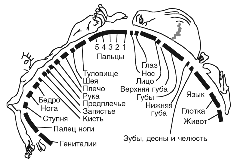 Машина эмоций Машина эмоций