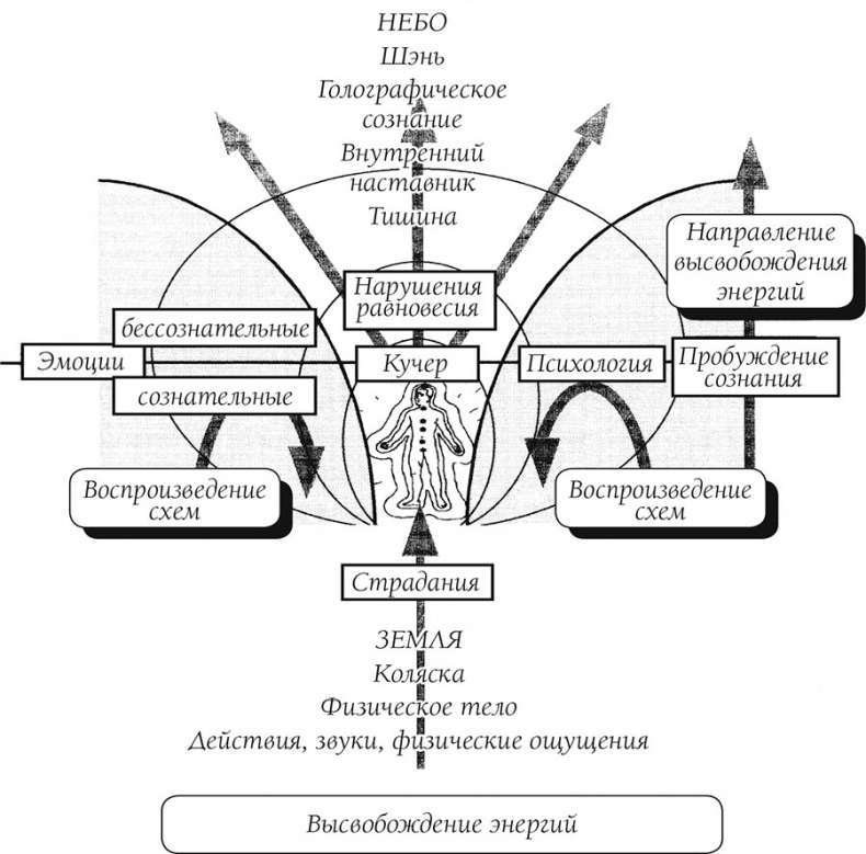 О чем говорит боль