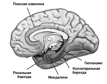 Между Ницше и Буддой: счастье, творчество и смысл жизни Между Ницше и Буддой: счастье, творчество и смысл жизни