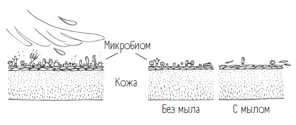 Комично, как все химично! Почему не стоит бояться фтора в зубной пасте, тефлона на сковороде, и думать о том, что телефон на зарядке взорвется