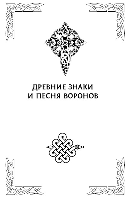 Большая книга рун. Северная магия, которая может все! Большая книга рун. Северная магия, которая может все!