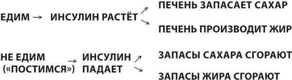 Интервальное голодание. Как восстановить свой организм, похудеть и активизировать работу мозга