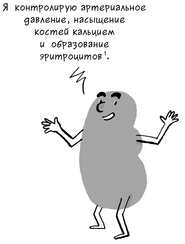 Необыкновенные способности почки. Как сберечь здоровье важнейших органов надолго Необыкновенные способности почки. Как сберечь здоровье важнейших органов надолго