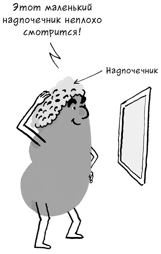 Необыкновенные способности почки. Как сберечь здоровье важнейших органов надолго Необыкновенные способности почки. Как сберечь здоровье важнейших органов надолго