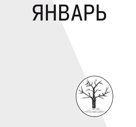 Научные открытия для тех, кто любит краткость