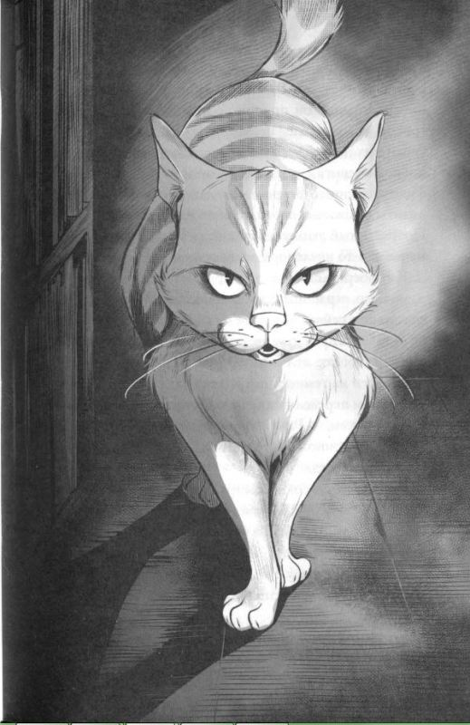 Кот, который любил книги Кот, который любил книги