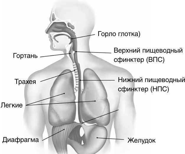 Как вылечить изжогу, кашель, воспаление, аллергию, ГЭРБ : программа снижения кислотности за 28 дней