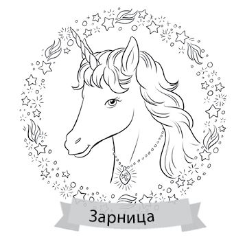 Чудеса на чердаке