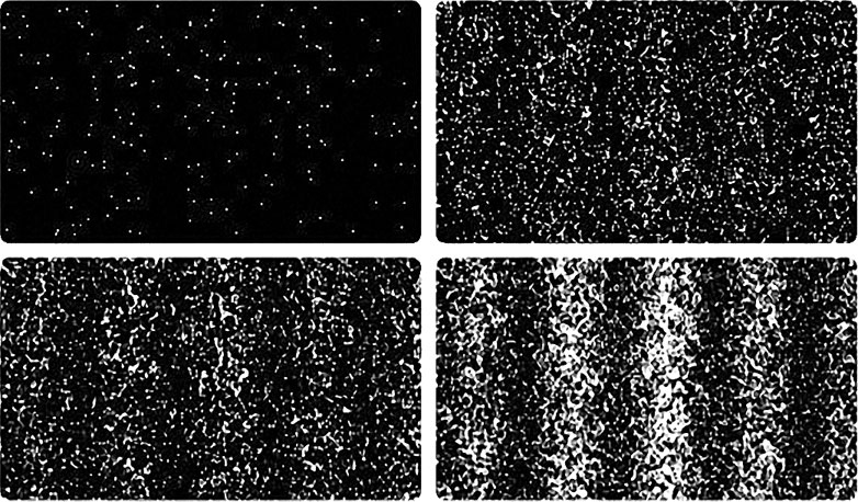 Шесть невозможностей. Загадки квантового мира