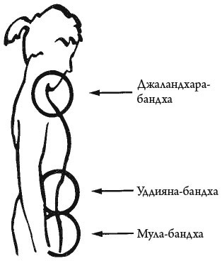 Сердце йоги. Принципы построения индивидуальной практики. «Йога-сутры» Патанджали. «Йоганджалисара» Шри Кришнамачарья Сердце йоги. Принципы построения индивидуальной практики. «Йога-сутры» Патанджали. «Йоганджалисара» Шри Кришнамачарья