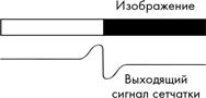 Как мы видим? Нейробиология зрительного восприятия Как мы видим? Нейробиология зрительного восприятия
