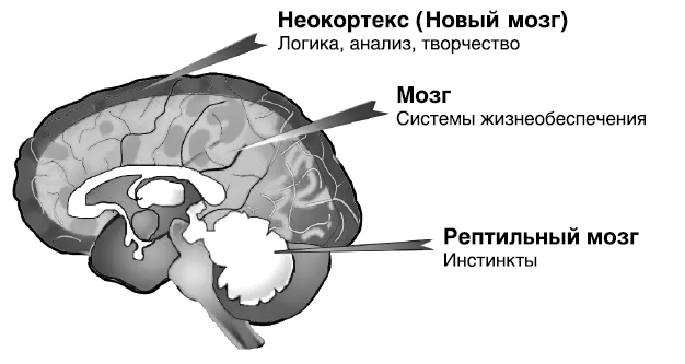 Как разумные люди создают безумный мир. Обновлённое издание Как разумные люди создают безумный мир. Обновлённое издание