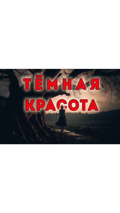 Дмитрий Видинеев – Тёмная красота