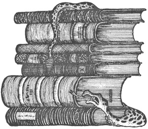 Город Мечтающих Книг Город Мечтающих Книг
