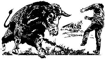 Колдовская вода