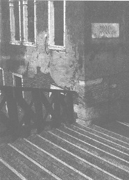 Венеция - это рыба Венеция - это рыба