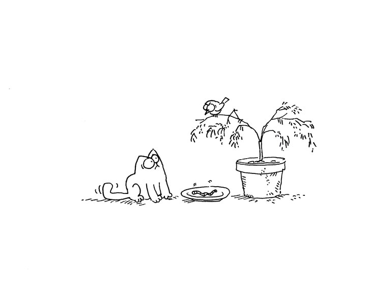Кот Саймона Кот Саймона