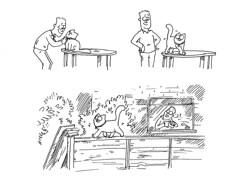 Кот Саймона