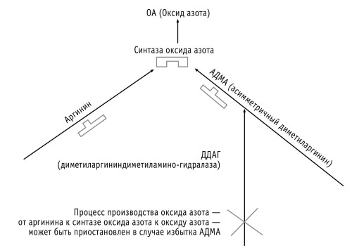 Супер сердце. Революционное исследование о связи сердечно-сосудистой системы и питания Супер сердце. Революционное исследование о связи сердечно-сосудистой системы и питания