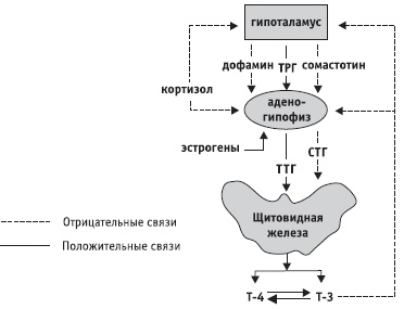 Заболевания щитовидной железы. Лечение и профилактика Заболевания щитовидной железы. Лечение и профилактика