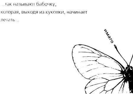 Паршивка