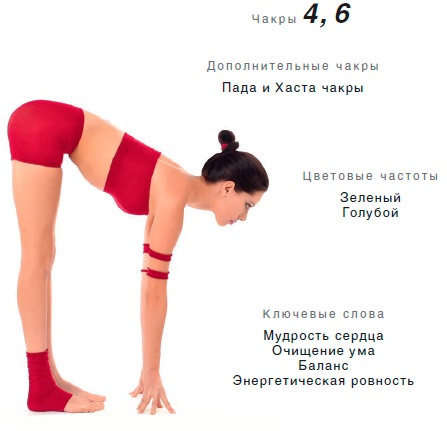 Энергетика йоги. Практический курс