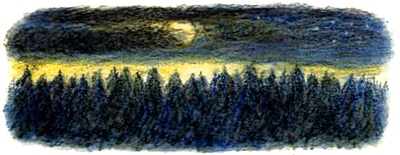 Кривуля