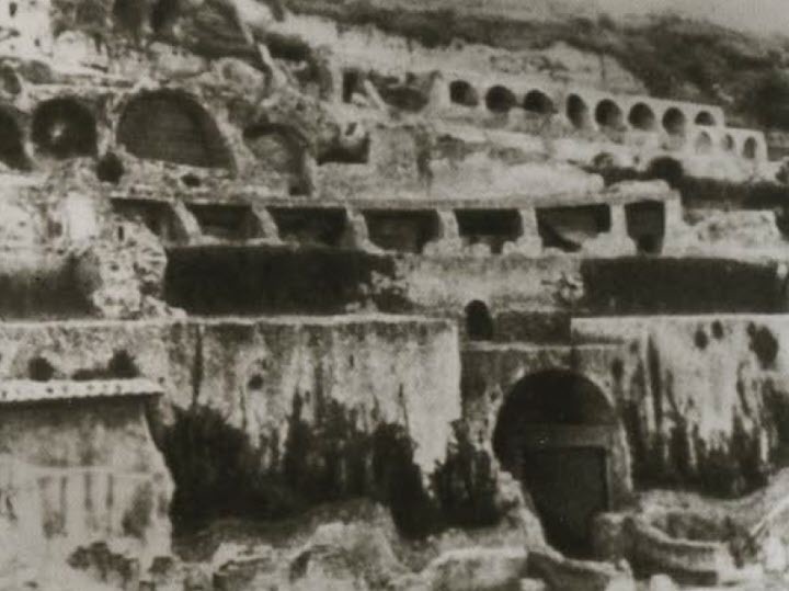 Калигула