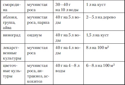 Сад и огород без вредителей, сорняков и болезней