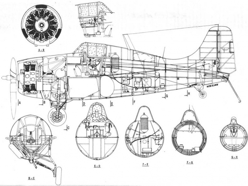 Grumman Wildcat Grumman Wildcat