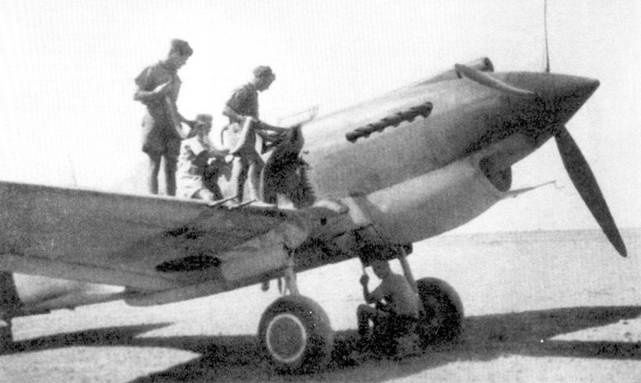 Curtiss P-40. Часть 3 Curtiss P-40. Часть 3