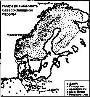 Расы Европы Расы Европы