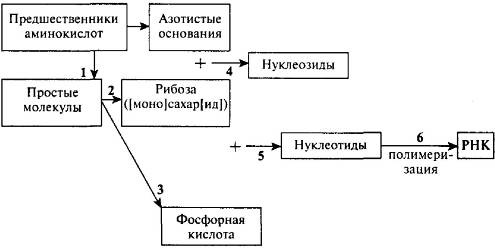 Пять нерешенных проблем науки Пять нерешенных проблем науки