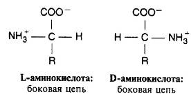 Пять нерешенных проблем науки Пять нерешенных проблем науки