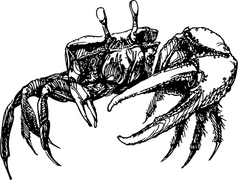 Чердак. Только физика, только хардкор