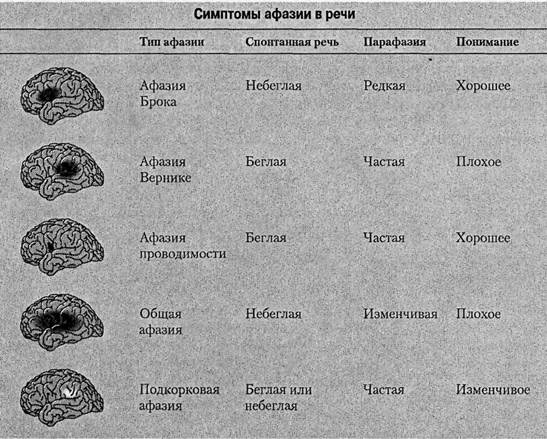 Когнитивная психология Когнитивная психология