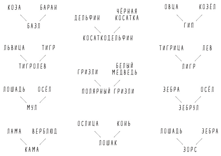 Может ли жираф облизать свои уши?