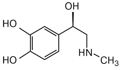 Мозг. Инструкция пользователя