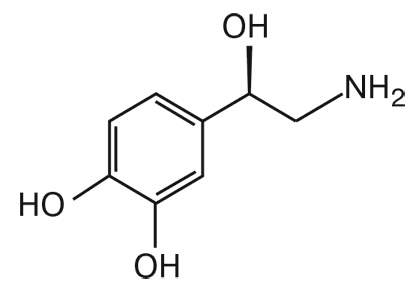 Мозг. Инструкция пользователя