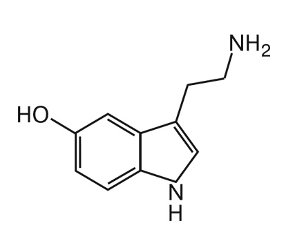 Мозг. Инструкция пользователя