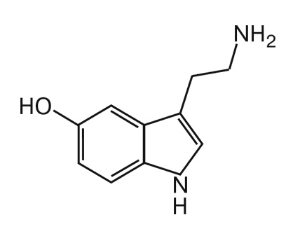 Мозг. Инструкция пользователя